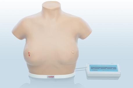 電子乳腺癌觸診、視診訓練模型