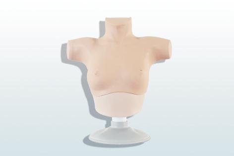 乳腺癌觸診、視診訓練模型